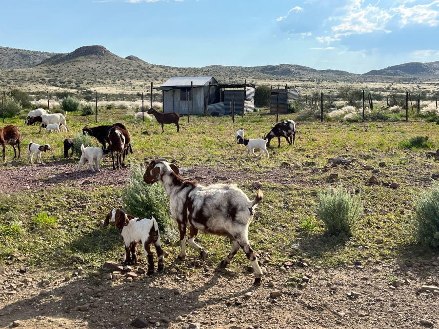 0 Bedroom Property for Sale in Upington Rural Northern Cape